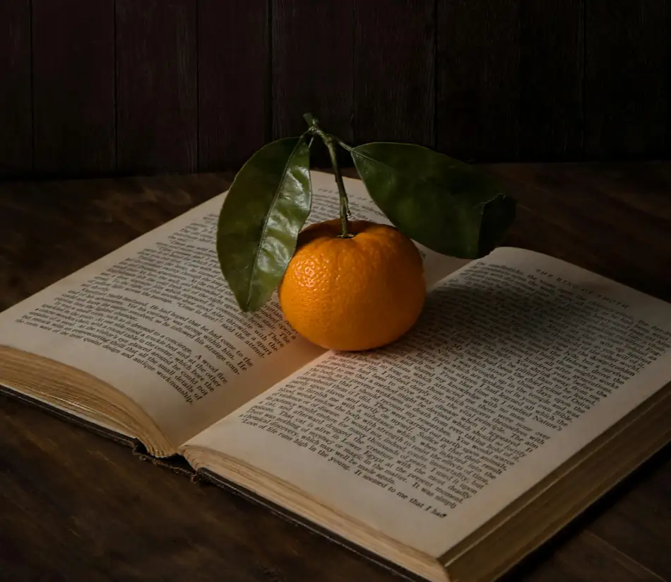 Brand bible
Copywriting
Copywriting