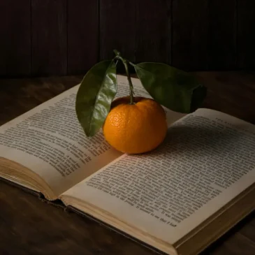 What Is a Brand Bible?